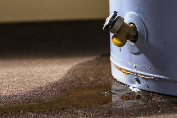 Best 24-hour water damage restoration  in Fargo, ND