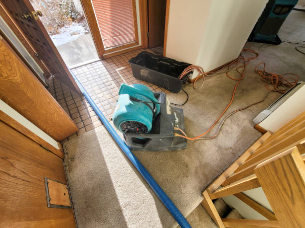Best Ceiling water damage repair  in Fargo, ND