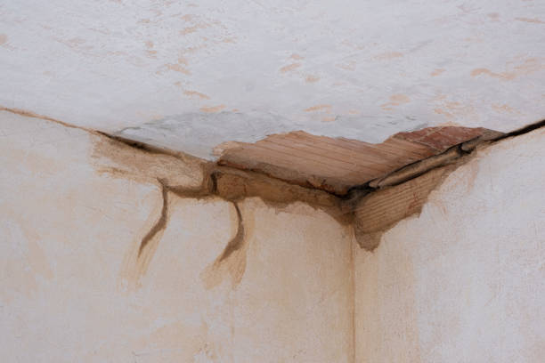 Best Water damage cleanup near me  in Fargo, ND