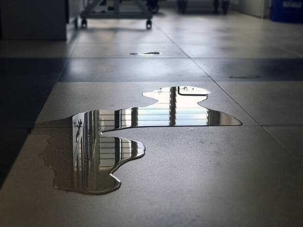Best Water damage contractors near me  in Fargo, ND