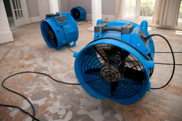 Best 24/7 water damage repair  in Fargo, ND